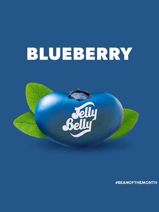 Jelly Belly Candle Pot Blueberry 85g